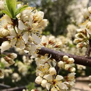 Meet your Posher, Raul n lourdes